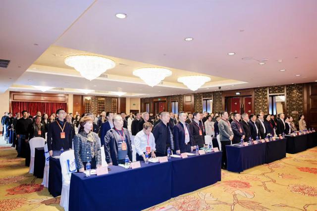 1775035529116104.jpg 02.jpg